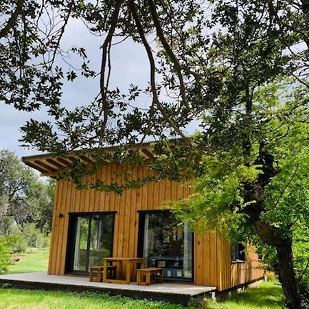 Kingfisher De Los Andes Villa Meliquina Eksteriør bilde