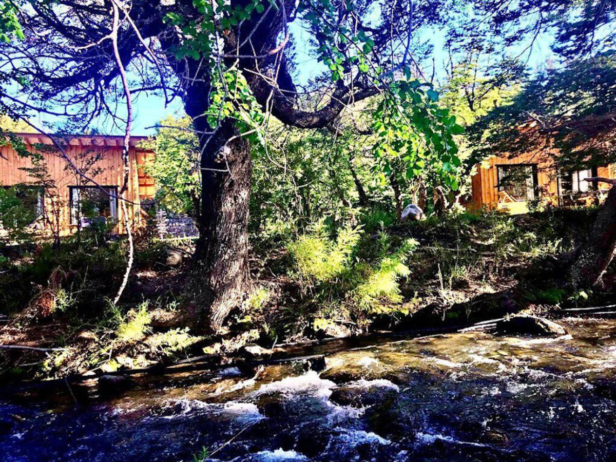 Kingfisher De Los Andes Villa Meliquina Eksteriør bilde