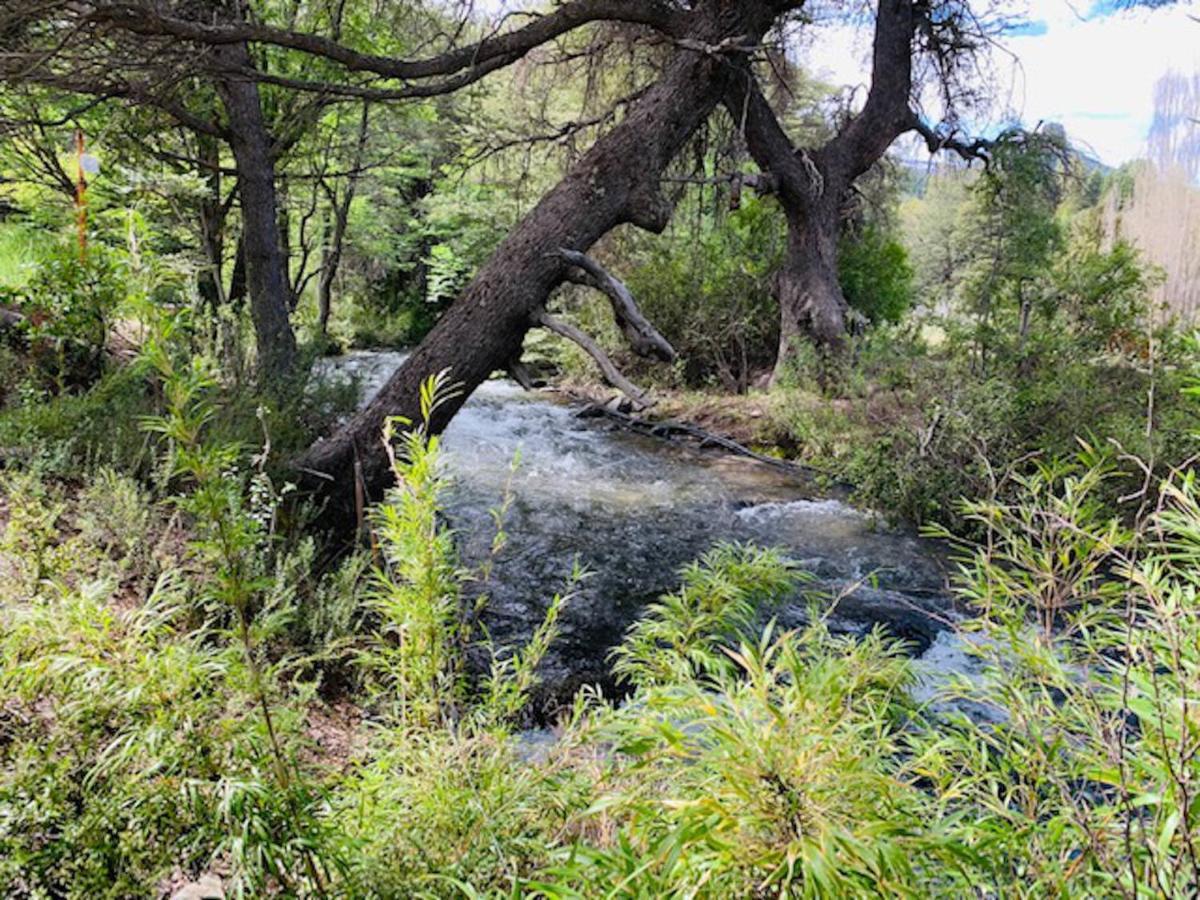 Kingfisher De Los Andes Villa Meliquina Eksteriør bilde