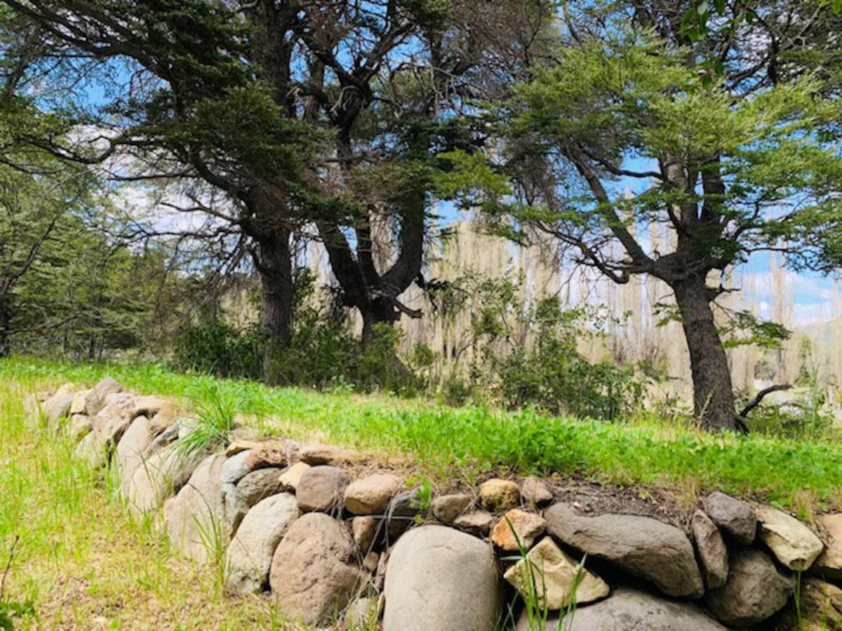 Kingfisher De Los Andes Villa Meliquina Eksteriør bilde