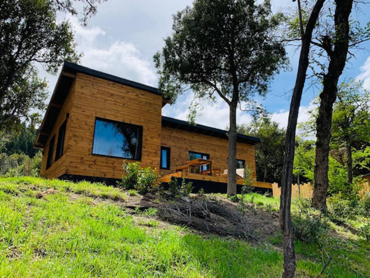 Kingfisher De Los Andes Villa Meliquina Eksteriør bilde